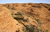 694_Kings Canyon